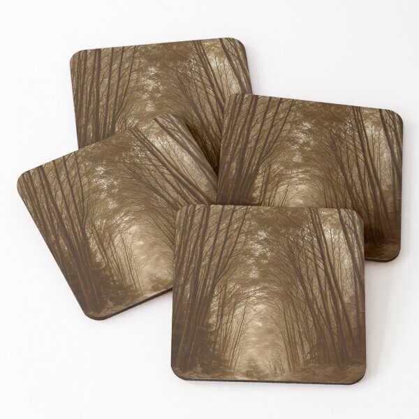 Item preview, Forest Passage — Port Hardy, British Columbia designed and sold by Fourpointstudio.