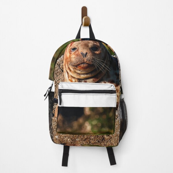Item preview, Seal Stare — Pacific Coast Wildlife designed and sold by Fourpointstudio.