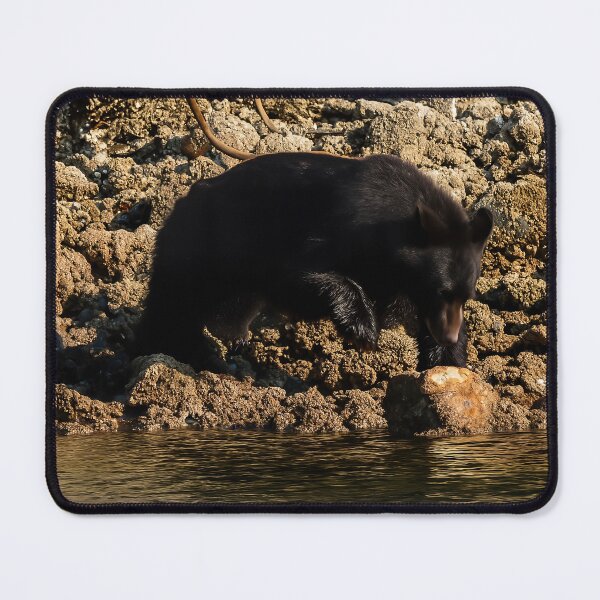 Item preview, Hunting Bear — Tofino Islands, BC designed and sold by Fourpointstudio.
