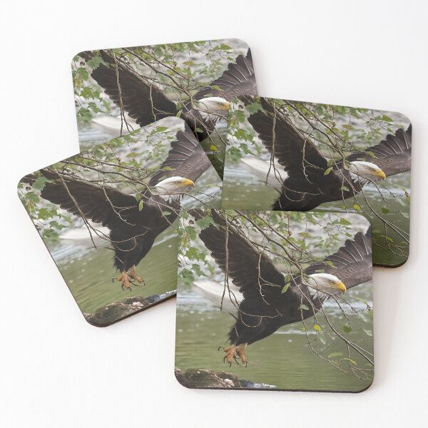 Item preview, Eagle Hop — Port Hardy, BC designed and sold by Fourpointstudio.