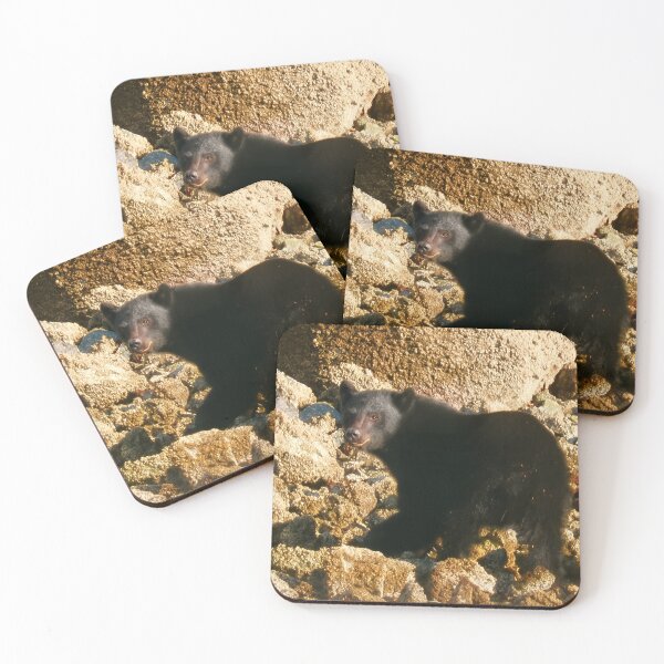 Item preview, Stare Bear — Tofino Coast, BC designed and sold by Fourpointstudio.