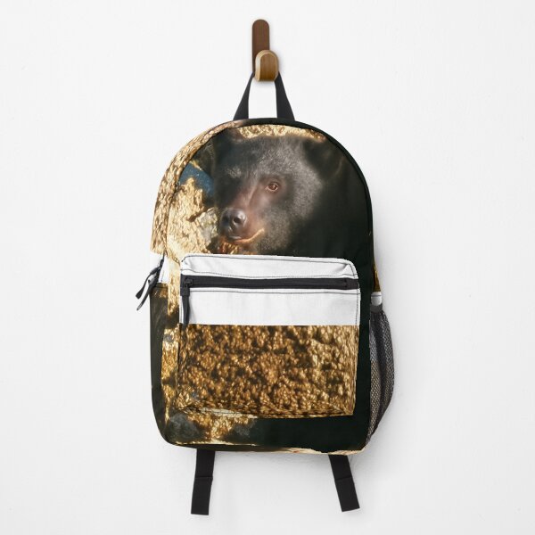 Item preview, Stare Bear — Tofino Coast, BC designed and sold by Fourpointstudio.