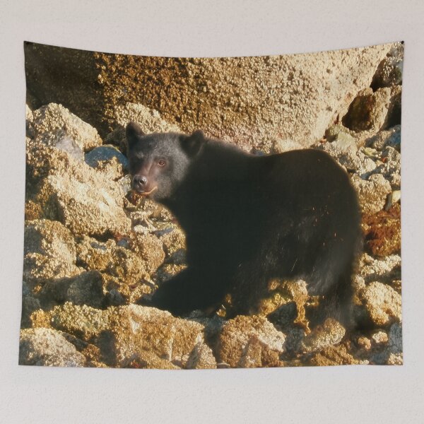 Item preview, Stare Bear — Tofino Coast, BC designed and sold by Fourpointstudio.