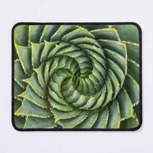 Item preview, Succulent spiral designed and sold by Hisseye.