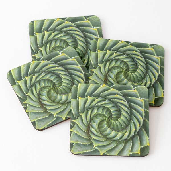 Item preview, Succulent spiral designed and sold by Hisseye.
