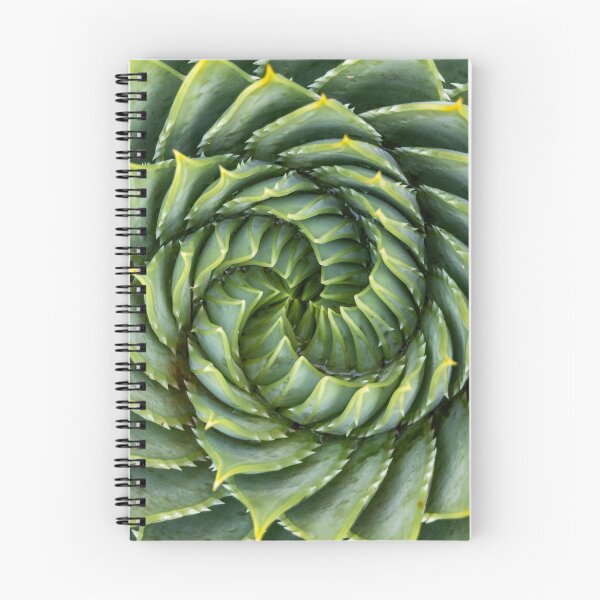 Item preview, Succulent spiral designed and sold by Hisseye.