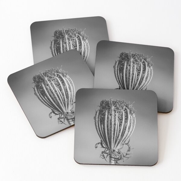 Item preview, Monochrome Close-Up Of A Dried Seed Pod On Stem With Soft Blurred Background designed and sold by Nmallia.