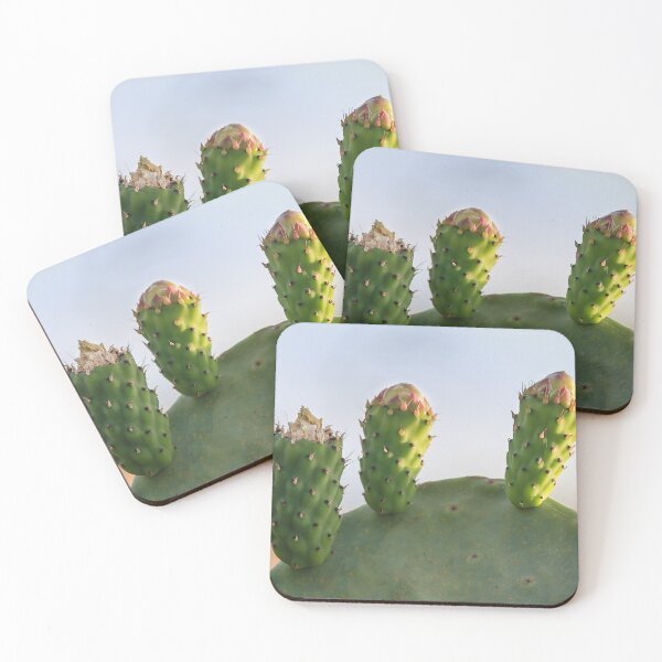 Item preview, Close-Up Of Green Cactus Pads With New Growth Buds In Bright Desert Light designed and sold by Nmallia.