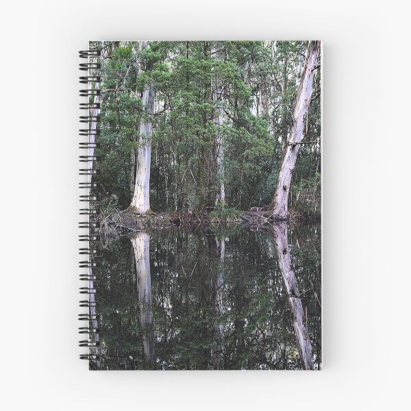 Item preview, Lake Sanatorium designed and sold by laurinmarie.