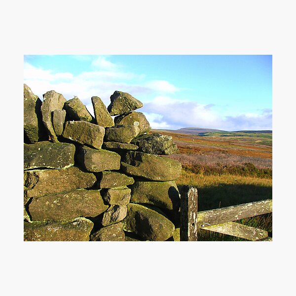 Item preview, Towards Mossdale from Grassington Moor designed and sold by FritzFitton.