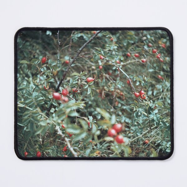 Item preview, fruits designed and sold by 5letters.