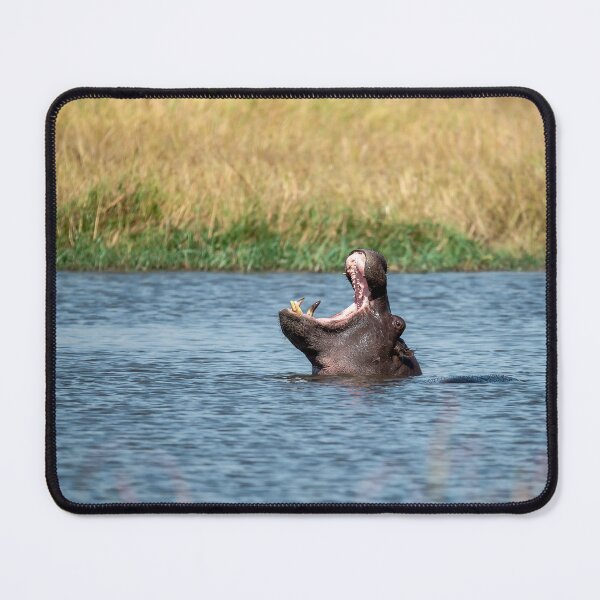 Item preview, Waterhole Ruler — Hippopotamus Power Yawn designed and sold by DavideAntoniani.