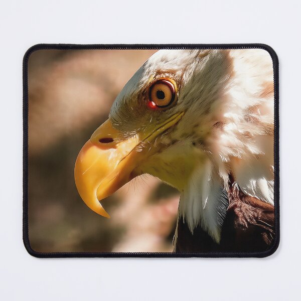 Item preview, Eagle Stare — Port Hardy, BC designed and sold by Fourpointstudio.