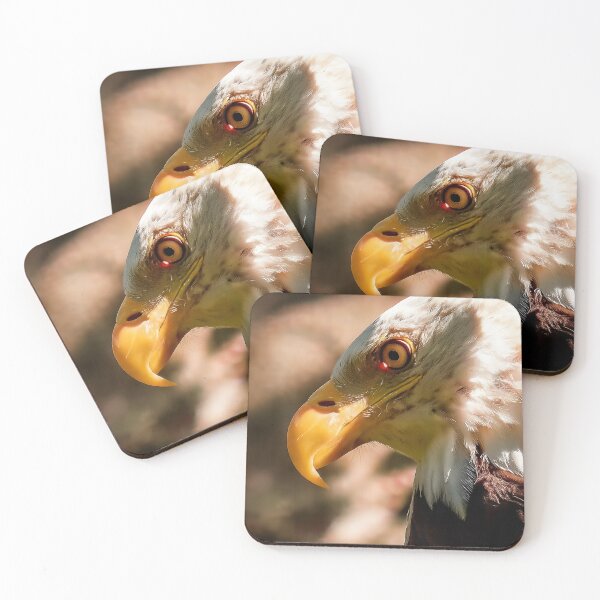 Item preview, Eagle Stare — Port Hardy, BC designed and sold by Fourpointstudio.