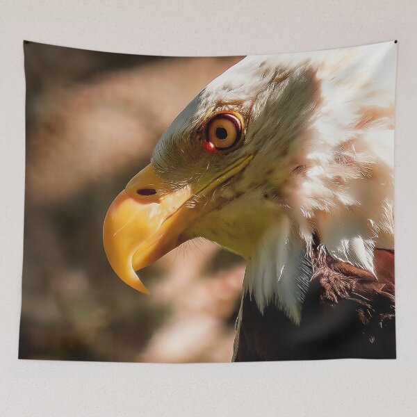 Item preview, Eagle Stare — Port Hardy, BC designed and sold by Fourpointstudio.