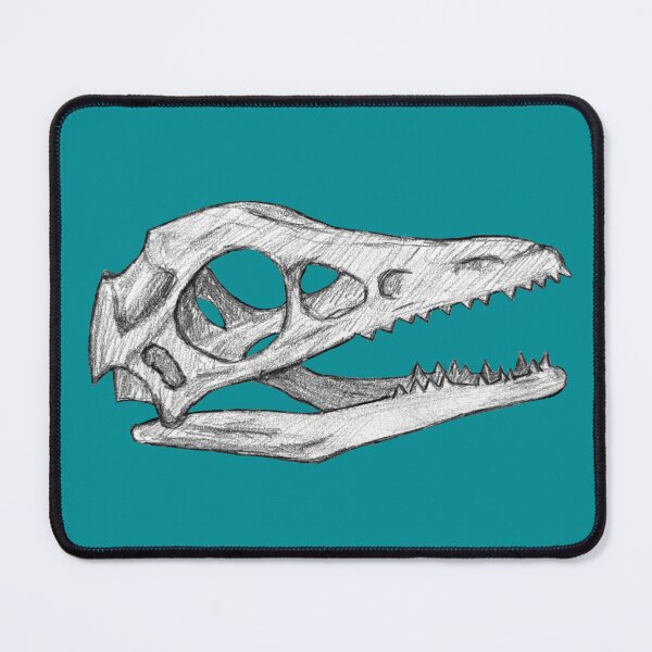 Item preview, Archaeopteryx skull designed and sold by DoodleSnake58.