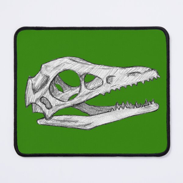 Item preview, Archaeopteryx skull designed and sold by DoodleSnake58.
