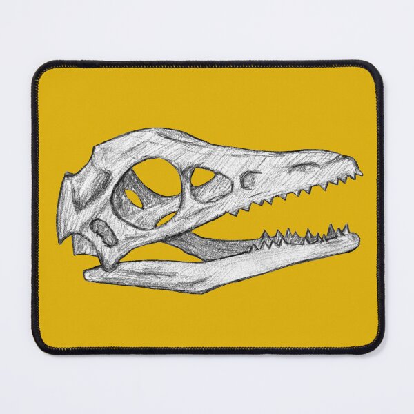 Item preview, Archaeopteryx skull designed and sold by DoodleSnake58.