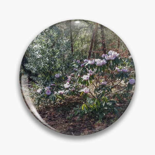 Item preview, Kelling Heath Azalea  designed and sold by Jim Key.