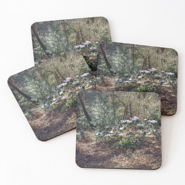 Item preview, Kelling Heath Azalea  designed and sold by Jim Key.