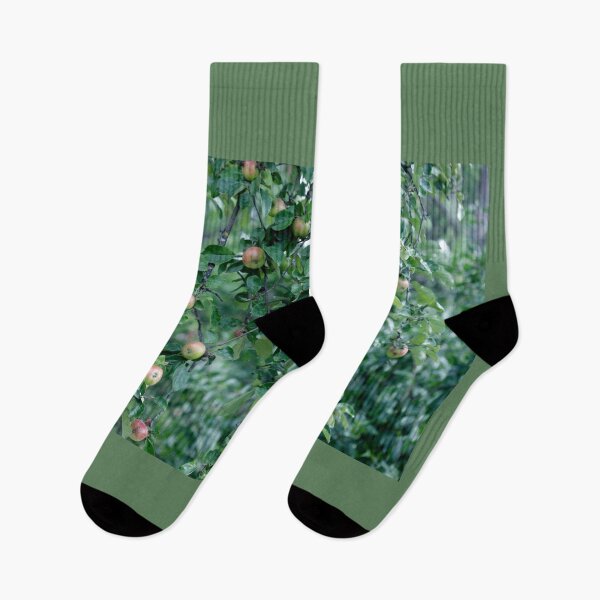 Item preview, Green apples in apple tree  designed and sold by olena2552.