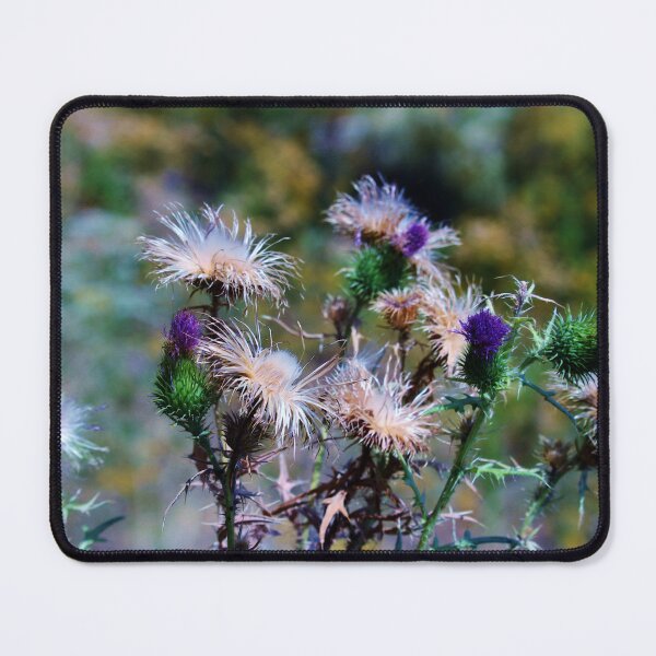 Item preview, Wild Thistles in Natural Habitat designed and sold by Cynthia48.