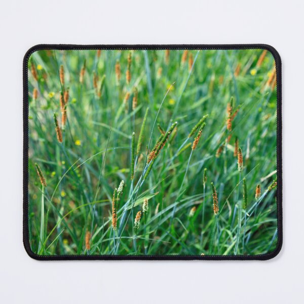 Item preview, Green grass in summer garden designed and sold by olena2552.