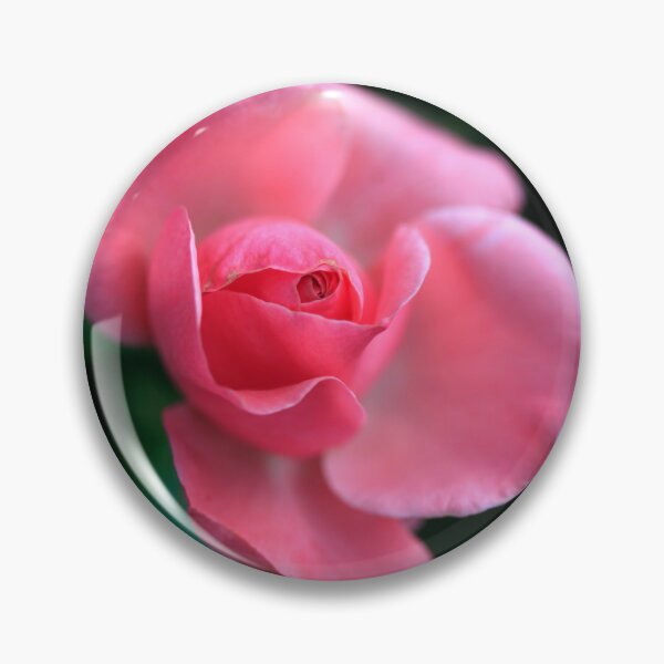 Item preview, Red rose on black background designed and sold by olena2552.