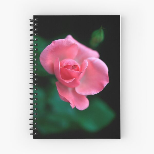 Item preview, Red rose on black background designed and sold by olena2552.