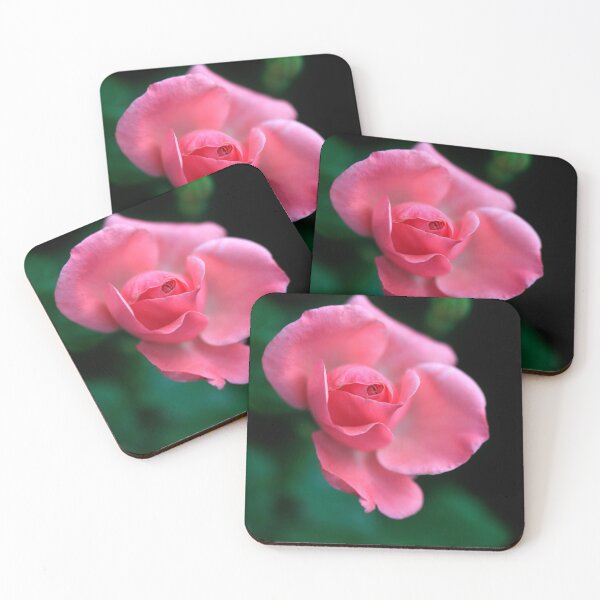 Item preview, Red rose on black background designed and sold by olena2552.