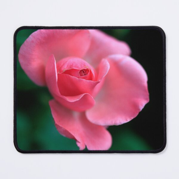 Item preview, Red rose on black background designed and sold by olena2552.