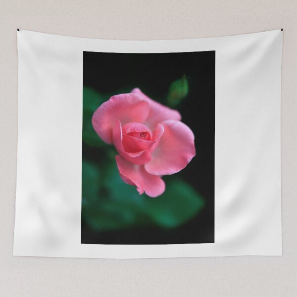 Item preview, Red rose on black background designed and sold by olena2552.