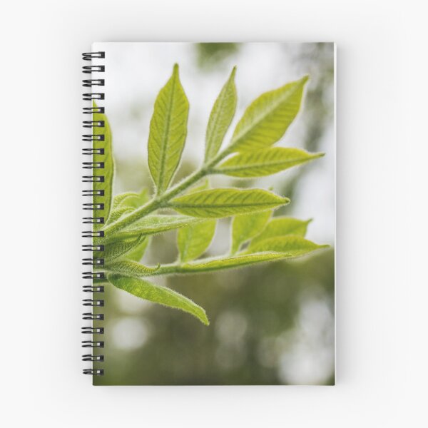 Item preview, Fuzzy Green Leaf designed and sold by PNWTranquility.