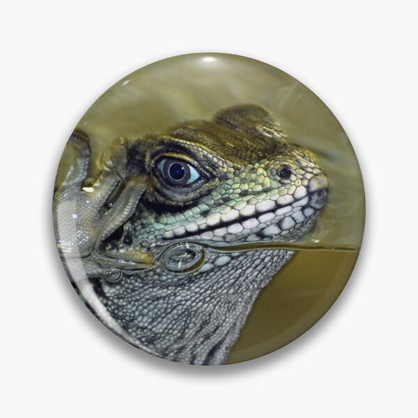 Aperçu de l'œuvre Dragon à nageoires de voile vous salue depuis l'eau créée et vendue par KillNFuel.