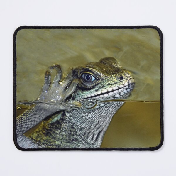 Item preview, Sailfin Dragon Saying Hi From The Water designed and sold by KillNFuel.