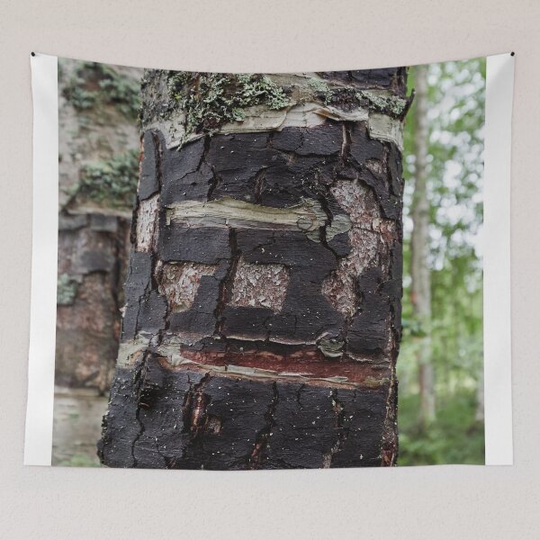 Item preview, Black belt. Kayla 2025 designed and sold by Jouko Lehto Photography.