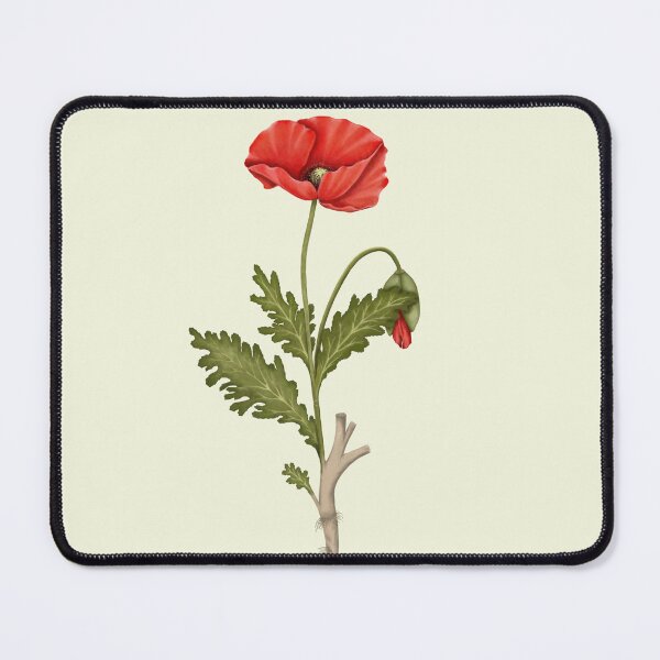 Item preview, Poppy Flower Botanical Print - Red Garden Art designed and sold by Fiurdelin.