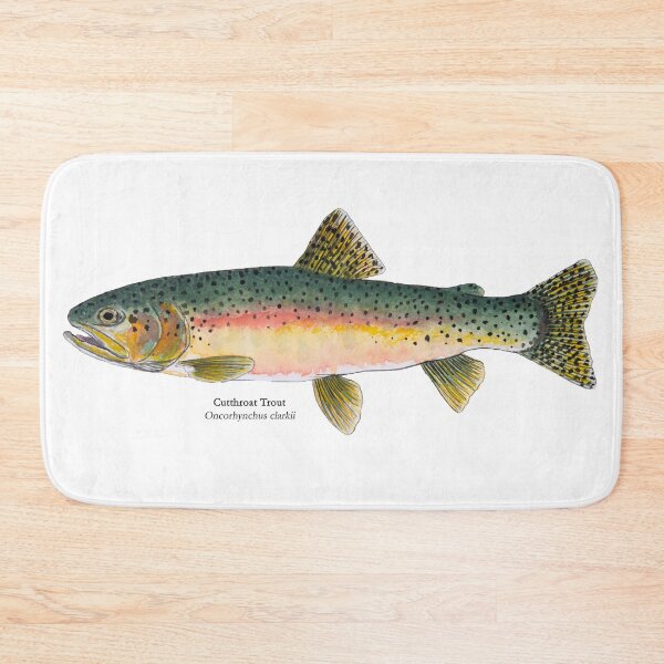Item preview, Cutthroat Trout Painting designed and sold by Stephen Emms.
