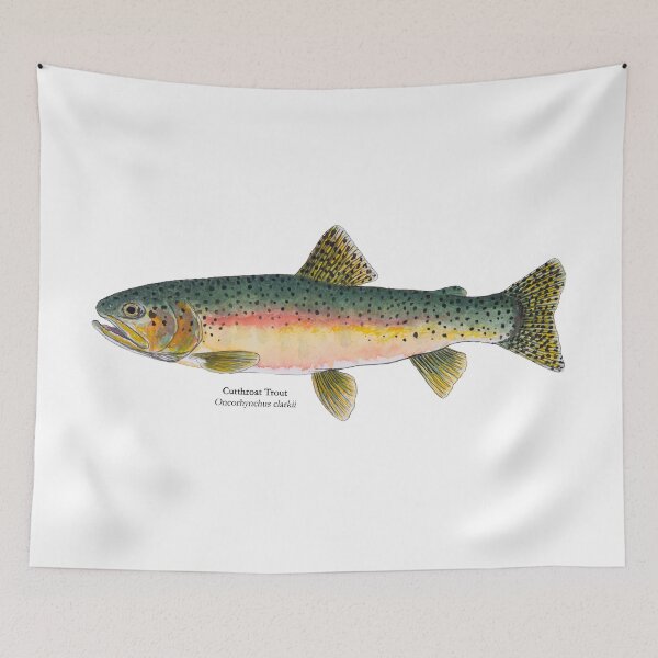 Item preview, Cutthroat Trout Painting designed and sold by Stephen Emms.