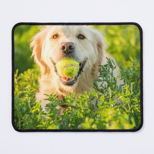Item preview, Happy Playing Golf Puppy in Garden designed and sold by Anahit Petrosyan Art Studio & Unique Print Designs for a Gift.