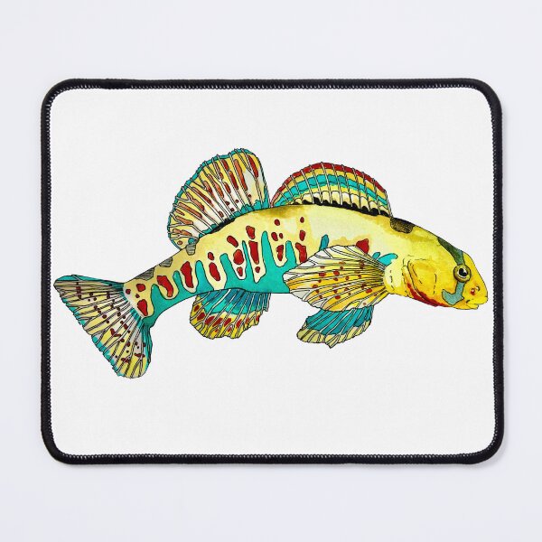 Item preview, Kanawha Darter designed and sold by LittleClayFrog.