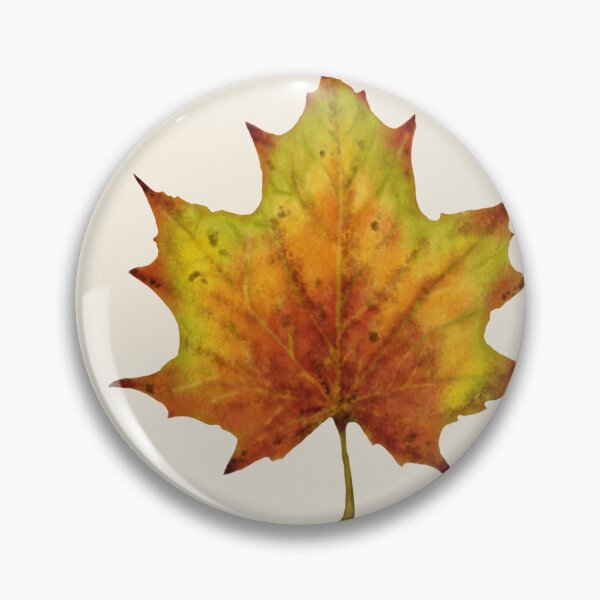 Item preview, Maple Leaf Botanical Print - Acer Autumn Art designed and sold by Fiurdelin.