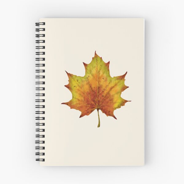 Item preview, Maple Leaf Botanical Print - Acer Autumn Art designed and sold by Fiurdelin.