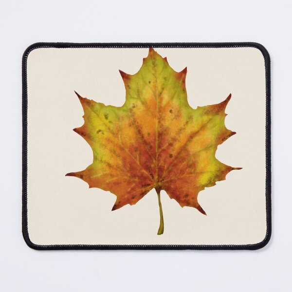 Item preview, Maple Leaf Botanical Print - Acer Autumn Art designed and sold by Fiurdelin.