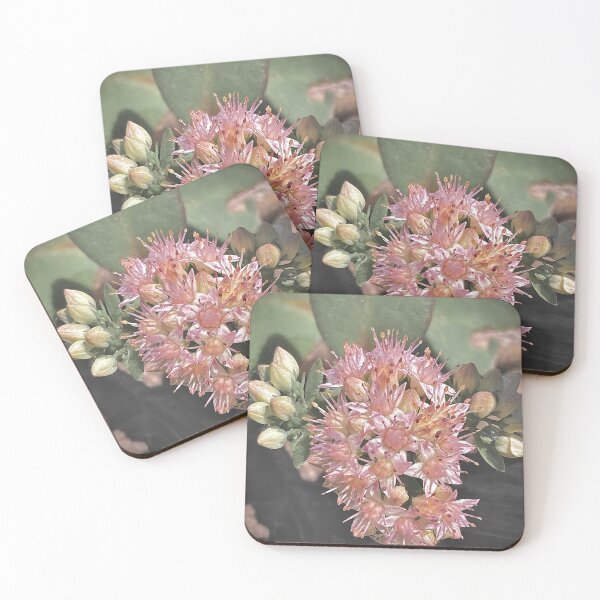 Item preview, Succulence  designed and sold by Smitty Petalz.