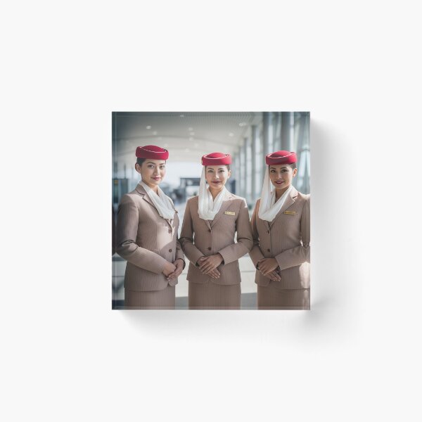 Artikelvorschau, Emirates-Kabinenpersonal entworfen und verkauft von Skyframe Aviation.