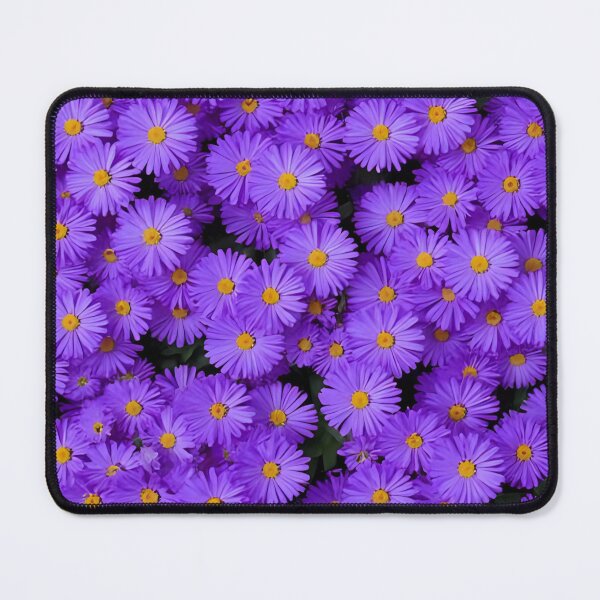 Item preview, September Birth Flower – Aster & Morning Glory designed and sold by Cultradesign.