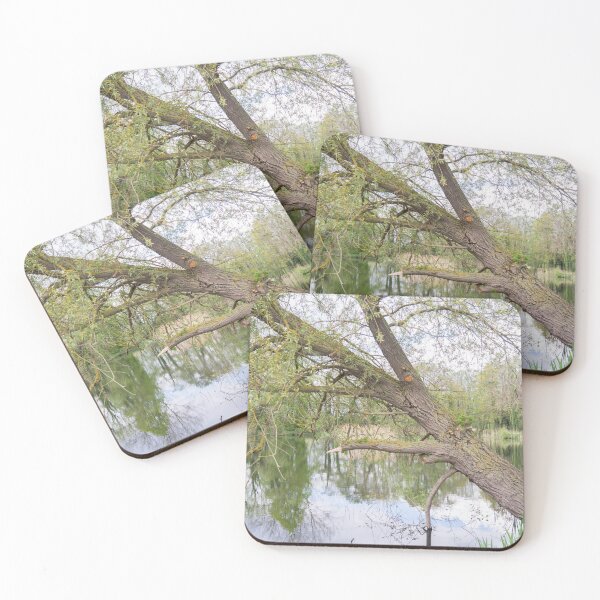 Item preview, Ash tree on the river bank designed and sold by yackers1.