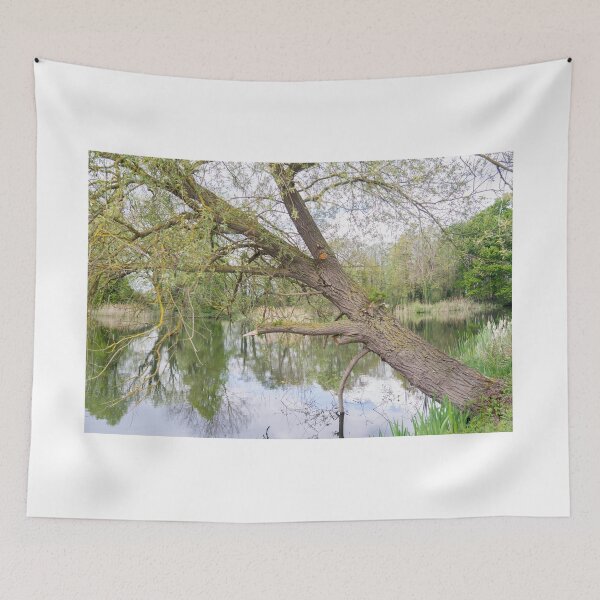 Item preview, Ash tree on the river bank designed and sold by yackers1.