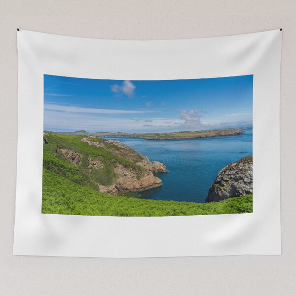 Item preview, Ramsey Island, South Wales designed and sold by yackers1.